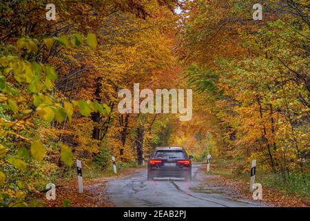 Trafic sur une route de campagne sous la pluie à travers une forêt en automne, haute-Bavière, Bavière, Allemagne, Europe Banque D'Images