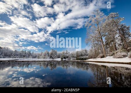 Réflexions de nuages sur le lac Straus en hiver, Straus Park - Brevard, Caroline du Nord, États-Unis Banque D'Images