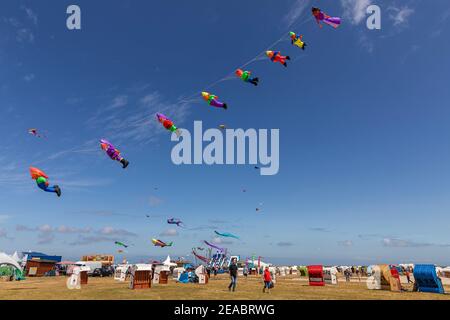 Personnages de contes de fées, blanc neige et les sept nains, 14ème Festival International de cerf-volant à Schillig, district de la municipalité de Wangerland, district de Frise, Basse-Saxe, Banque D'Images