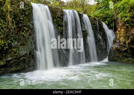 Cascades et étang - de fortes et larges cascades qui s'écoulent dans un étang clair dans le parc national Puaa Kaa Wayside, sur le côté de la route vers Hana, Maui, Hawaii, États-Unis. Banque D'Images