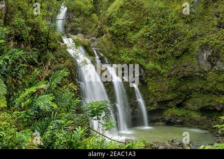 Chutes d'eau dans la forêt tropicale - VUE rapprochée d'une cascade à plusieurs niveaux à l'intérieur d'une forêt pluviale dense, sur le côté de la route vers Hana. Maui, Hawaï, États-Unis. Banque D'Images