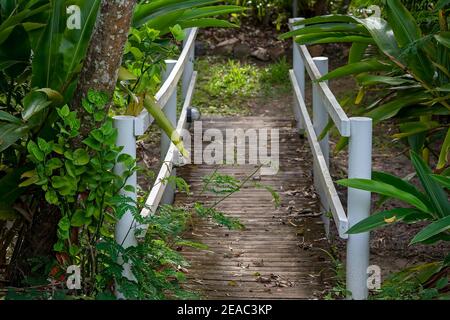 Un petit pont en bois avec des rails blancs menant à un parc naturel Banque D'Images