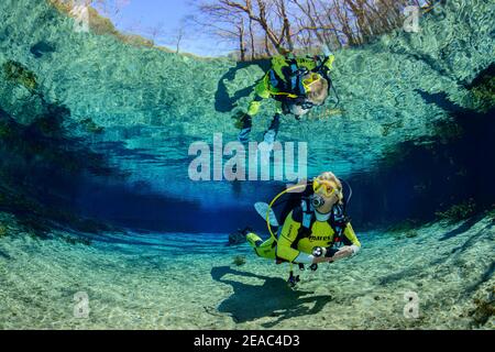 Plongeur dans le pot de source clair de cristal de Ginnie Springs, High Springs, Gilchrist County, Floride, États-Unis Banque D'Images