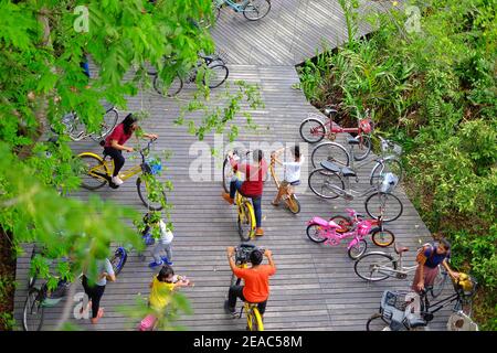 Bangkachao, Samut Prakan / Thaïlande - le 20 juin 2020: Vue de dessus d'une tour d'observation d'oiseaux d'un chemin de vélo en bois le long de Sri Nakhon Khuean Khan Park et Banque D'Images