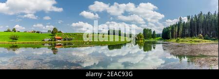 Étang à poissons avec cabane dans l'Allgäu Banque D'Images