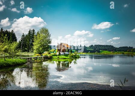 Étang à poissons avec cabane dans l'Allgäu Banque D'Images