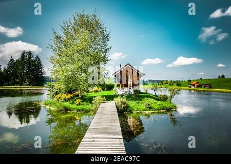 Étang à poissons avec cabane dans l'Allgäu Banque D'Images