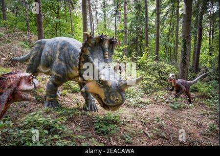 Modèles de dinosaures à Dinopark Münchehagen près de Hanovre, Deinonychus pourchassant Centrosaurus, période crétacée Banque D'Images