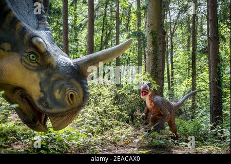 Modèles de dinosaures à Dinopark Münchehagen près de Hanovre, Deinonychus pourchassant Centrosaurus, période crétacée Banque D'Images