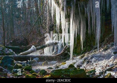 Allemagne, Bade-Wurtemberg, Reutlingen - Mittelstadt, chute d'eau gelée sur Merzenbach. Banque D'Images