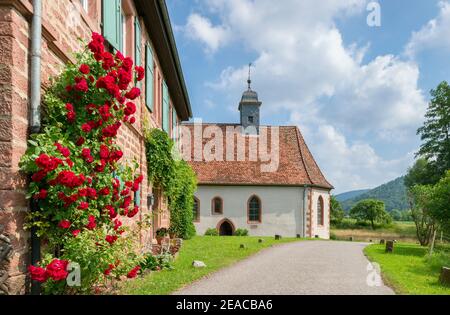 Allemagne, Bavière, Amorbach, chapelle Amorsbrunn, source de guérison de l'amour divin - Sancti amoris fons, ancien lieu de culte de printemps. Amorbach, dans le quartier de Miltenberg, est situé dans l'Hinterer Odenwald du parc naturel régional Bergstrasse-Odenwald, sur la Siegfriedstrasse et sur la piste cyclable Limes. Banque D'Images