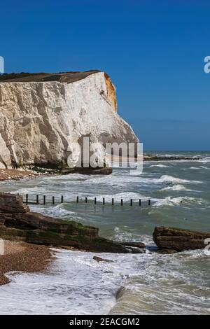 Angleterre, East Sussex, Seaford, Sleaford Head Cliffs Banque D'Images