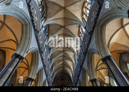 Angleterre, Wiltshire, Salisbury, Cathédrale de Salisbury, vue intérieure Banque D'Images