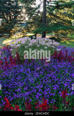 Angleterre, Londres, Greenwich, Greenwich Park, The Flower Garden Banque D'Images