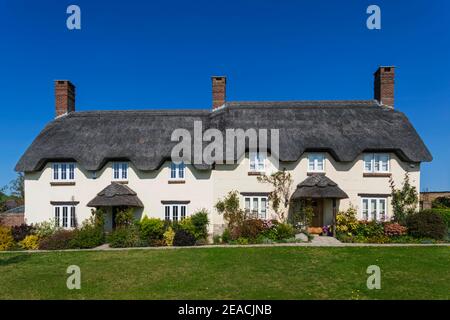 Angleterre, Dorset, Tolpuddle, rangée de maisons en toit de chaume Banque D'Images