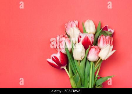 Bouquet de tulipes aux couleurs corail et blanc. Concept du printemps, Journée des femmes, Fête des mères, 8 mars, les voeux des fêtes. Espace de copie, plan de travail. Banque D'Images
