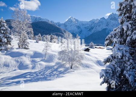 Arbres enneigés sur les prés de la bosse près de Mittenwald avec le Les montagnes de Karwendel en arrière-plan Banque D'Images