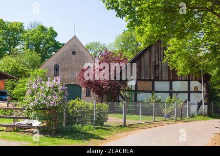 Fermes avec chemin au printemps, Fischerhude, Basse-Saxe, Allemagne, Europe Banque D'Images