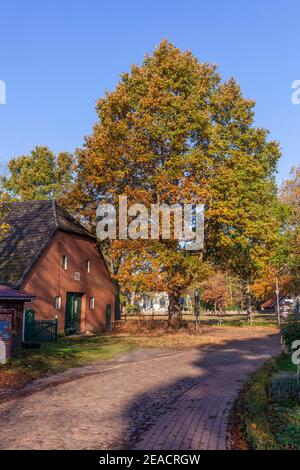 Ferme avec chemin en automne, Fischerhude, Basse-Saxe, Allemagne, Europe Banque D'Images