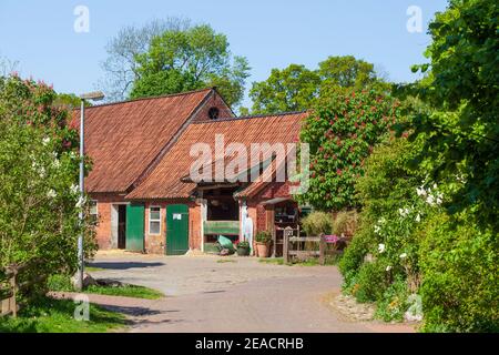 Fermes avec chemin au printemps, Fischerhude, Basse-Saxe, Allemagne, Europe Banque D'Images