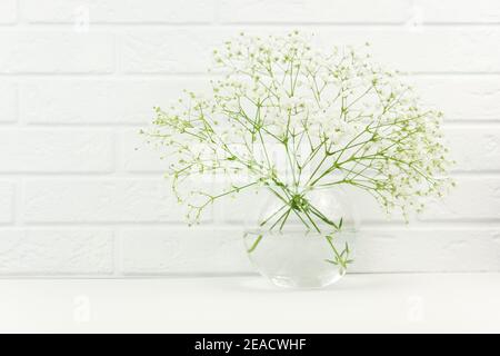 Des branches fraîches de fleurs blanches de gitsophila sont disposées dans un vase en verre. Le printemps arrive Banque D'Images