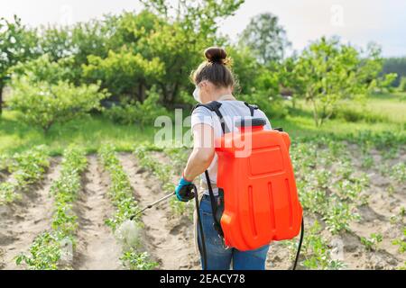 Agriculteur femme pulvérisant des plants de pommes de terre dans un jardin potager Banque D'Images