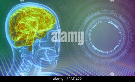 Arrière-plan de l'illustration 3D médicale - image de la tête humaine à rayons X. avec le cerveau mis en évidence et l'espace vide sur la droite pour votre idée numérique Banque D'Images