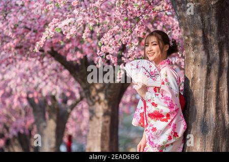 femme à yukata (robe kimono) tenant le ventilateur pliable et regardant la fleur de sakura ou de cerisier floraison dans le jardin Banque D'Images