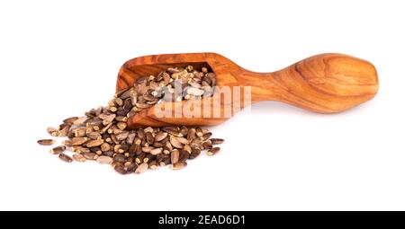 Graine de chardon de lait en pelle en bois, isolée sur fond blanc. Silybum marianum, Scotch Thistle ou Marian Thistle. Banque D'Images