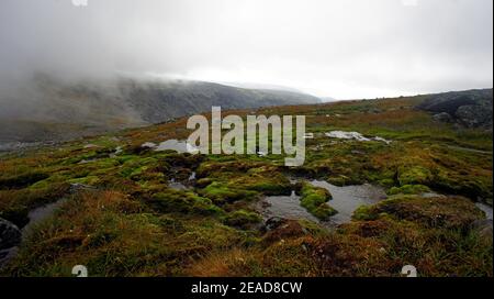 La mousse couvrait des rochers et des nuages dans les montagnes Banque D'Images