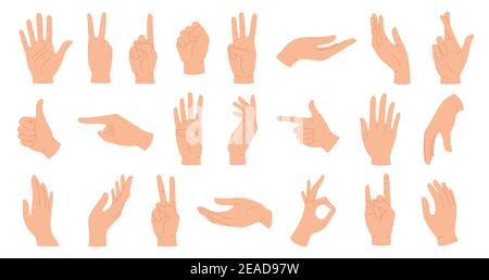 Les mains se posent. Main féminine tenant et pointant des gestes, doigts croisés, poing, paix et pouce vers le haut. Ensemble de paumes humaines et de vecteur de poignet de dessin animé Illustration de Vecteur
