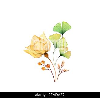 Arrangement floral aquarelle. Rose jaune transparent avec feuilles de ginkgo vertes isolées sur blanc. Bouquet moderne peint à la main. Illustration botanique Banque D'Images