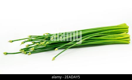 Fleur de callion biologique ou Allium cesp ou Onion Flower Stem sur fond blanc, légume asiatique long avec un arôme fort. Banque D'Images