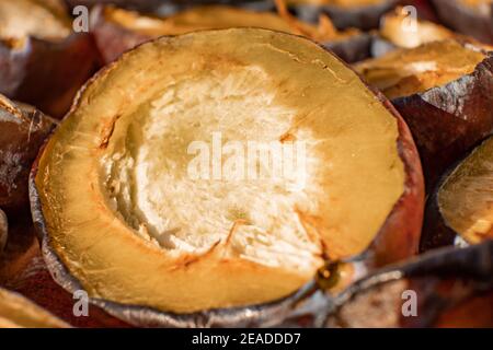 Photo macro d'une coupe semi-séchée de prune en deux Banque D'Images