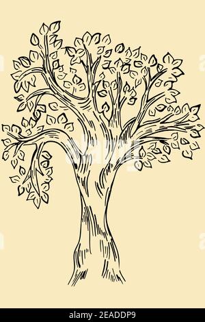 Esquisse d'un arbre. Vector un arbre sur fond marron, style rétro. Dessin à main levée simple, objet isolé. Illustration de Vecteur