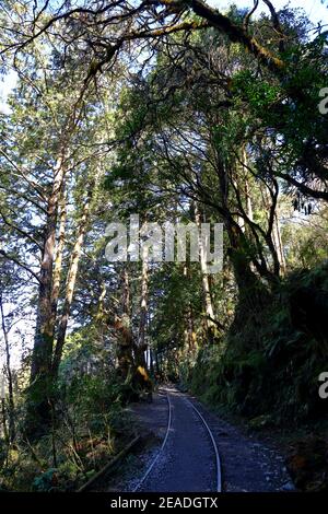 (Jianqing Huaigu Trai) à l'aire de loisirs forestière nationale de Taipingshan à Yilan, Taïwan Banque D'Images