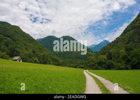 Le paysage d'été près du village de Zatolmin dans la municipalité de Tolmin, Primorska, Slovénie. Partie du Parc National Triglav Banque D'Images