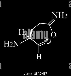 L'acide aminé glutamine. Formule moléculaire chimique de glutamine d'acides aminés. Illustration vectorielle sur un arrière-plan isolé Illustration de Vecteur