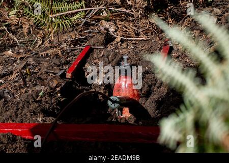 Huila, Colombie. 03ème février 2021. Une réplique d'une mine anti-personnel est détruite par le déminage à la main lors d'un exercice de démonstration à Huila. Les groupes armés ont été au travail dans la région. À la fin de 2016, l'organisation de guérilla FARC et le gouvernement avaient mis fin au conflit de plusieurs décennies avec environ 220,000 000 morts et des millions de personnes déplacées dans le pays sud-américain par un traité de paix. La plupart des guérilleros ont déposé leurs armes. Cependant, de nombreux guérilleros sont retournés dans le sous-sol. Credit: Vannesa Jimenez G./dpa/Alay Live News Banque D'Images