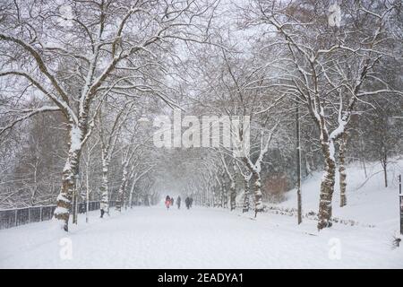 Les gens qui profitent de la neige d'hiver à Kelvingrove Park Glasgow, Royaume-Uni. Enfants en traîneau. Ski dans le parc. Cycliste. Tempête d'hiver. Université de Glasgow. Banque D'Images