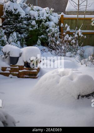 Glasgow, Écosse, Royaume-Uni. 9 février 2021. Photo : une épaisse couverture de lourds tapis de neige s'étend sur les jardins du pays de l'Écosse centrale après que Storm Darcy ait déposé près d'un pied de neige sur des chemins de nuit bloquant et se réponnant sur les murs, les portes, les bennes à roues. La nuit précédente a également vu la neige tomber, mais pas autant que la nuit dernière. Les températures glaciales se sont maintenues autour de -1C, la nuit dernière étant la plus froide jusqu'à présent. Crédit : Colin Fisher/Alay Live News Banque D'Images