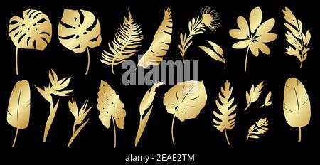 Ensemble de silhouettes dorées de feuilles tropicales, palmiers, plantes, fleurs, bananiers, monstères, branches. Divers éléments dorés de plantes exotiques botaniques. Illustration vectorielle sur fond noir Illustration de Vecteur