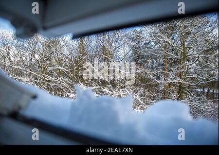 Glasgow, Écosse, Royaume-Uni. 9 février 2021. Photo : une épaisse couverture de neige épaisse couvre le toit d'une maison et bloque les fenêtres en velours qui donnent sur une forêt décidieuse couverte de neige dans le centre de l'Écosse après que Storm Darcy a déposé près d'un pied de neige tombant la nuit sur des chemins de blocage et de remplissage sur les murs, les portes, bennes à roulettes. La nuit précédente a également vu la neige tomber, mais pas autant que la nuit dernière. Les températures glaciales se sont maintenues autour de -1C, la nuit dernière étant la plus froide jusqu'à présent. Crédit : Colin Fisher/Alay Live News Banque D'Images