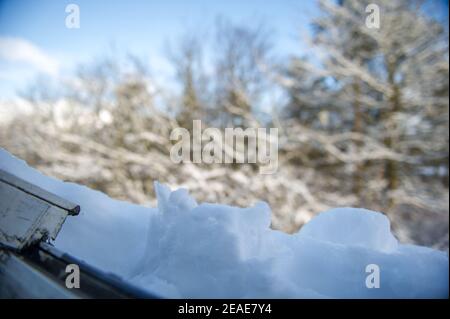 Glasgow, Écosse, Royaume-Uni. 9 février 2021. Photo : une épaisse couverture de neige épaisse couvre le toit d'une maison et bloque les fenêtres en velours qui donnent sur une forêt décidieuse couverte de neige dans le centre de l'Écosse après que Storm Darcy a déposé près d'un pied de neige tombant la nuit sur des chemins de blocage et de remplissage sur les murs, les portes, bennes à roulettes. La nuit précédente a également vu la neige tomber, mais pas autant que la nuit dernière. Les températures glaciales se sont maintenues autour de -1C, la nuit dernière étant la plus froide jusqu'à présent. Crédit : Colin Fisher/Alay Live News Banque D'Images