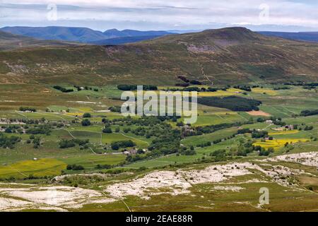 Vue panoramique d'Ingleborough à travers la vallée de Ribble jusqu'à la montagne de Whernside, avec prairies de foin en fleurs Banque D'Images