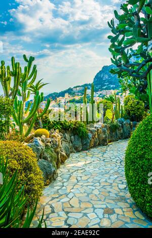 Jardin Exotique à Monaco Banque D'Images