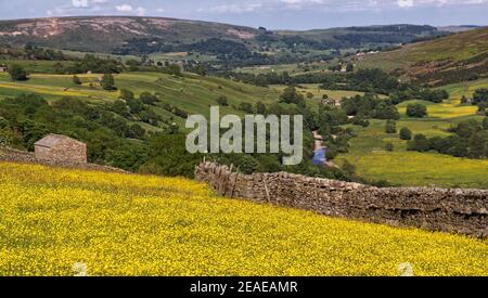 Vue panoramique de Swaledale, sur le village de Low Row, parc national de Yorkshire Dales avec prairies de foin en pleine fleur Banque D'Images