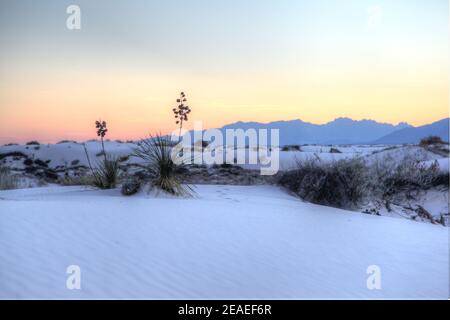 Randonnée dans le paysage désertique des dunes de gypse dans le monument national de White Sands au Nouveau-Mexique, États-Unis. Banque D'Images