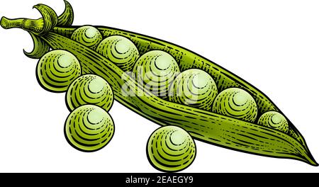 Pois doux Pod légumes de style ancien Woodcut Illustration de Vecteur