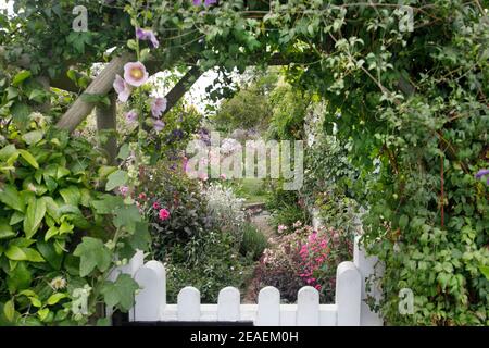 Vue à travers la porte de la profusion des fleurs d'été à Grafton Cottage, Barton-under-Needwood, Staffordshire, NGS, juillet Banque D'Images